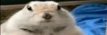 Bowles_62's profile banner image
