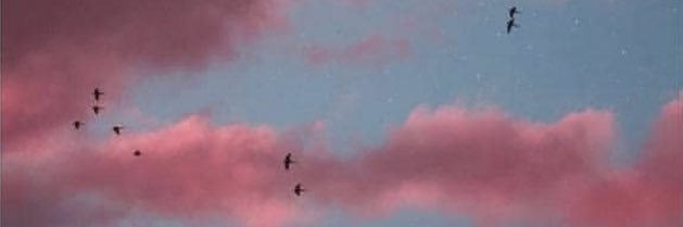 heba_7331's profile banner image
