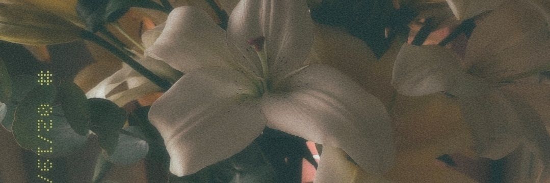 MadeleynML's profile banner image