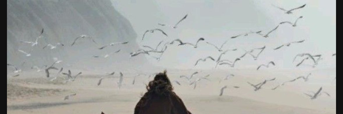 mejo3991's profile banner image