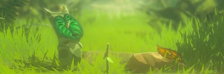 pao banner