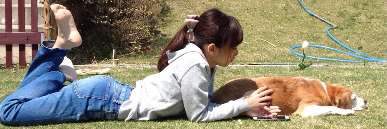 shiiicha's profile banner image