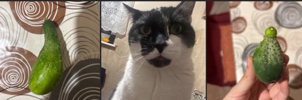 emonamiaa Profile Banner