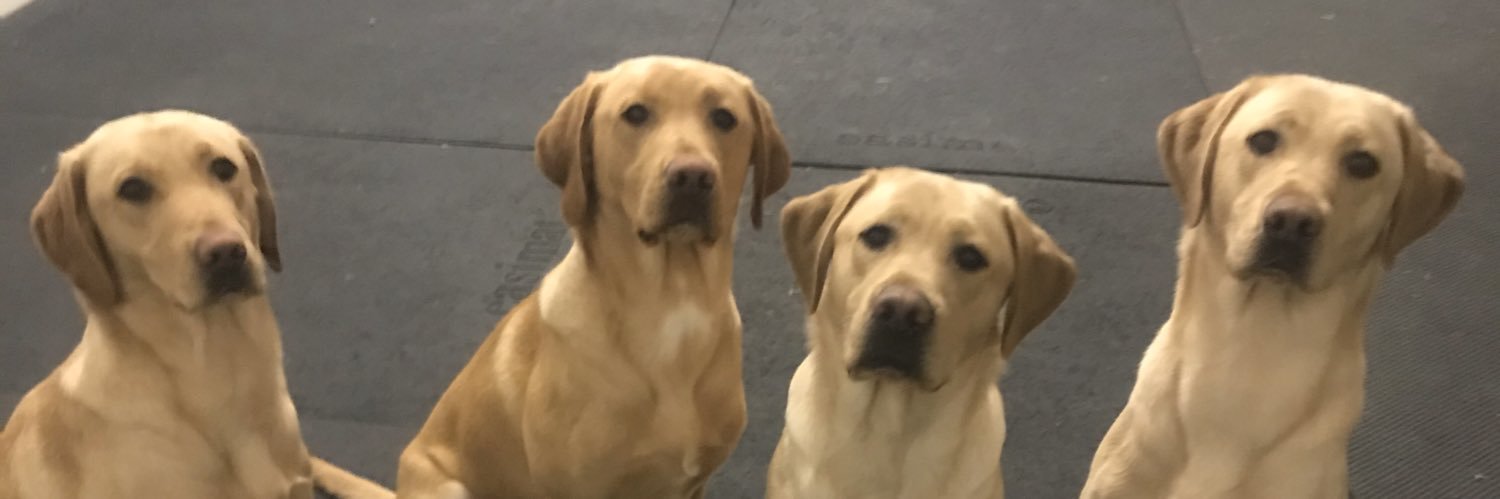 Thomas Ingram banner