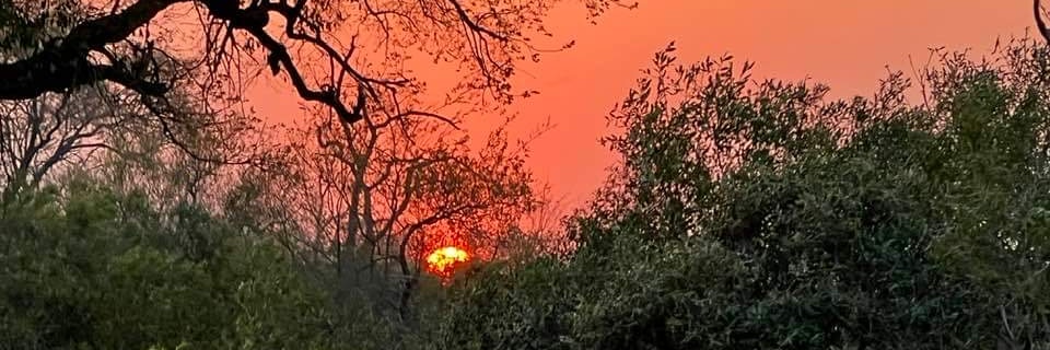 mcbeyer13's profile banner image