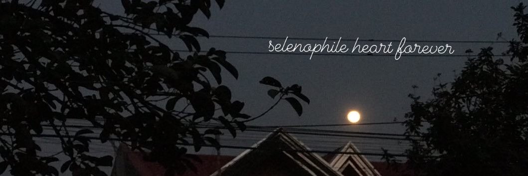 marthelsalunga's profile banner image