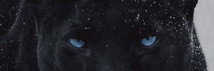 bymvnon's profile banner image
