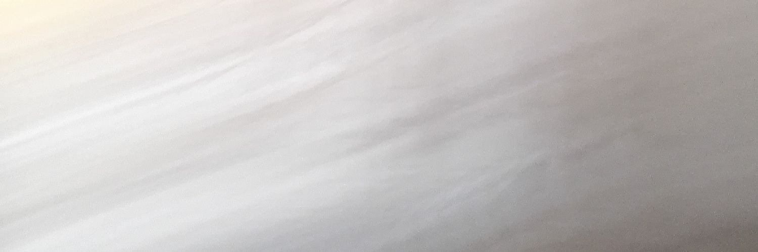 Momozaure's profile banner image