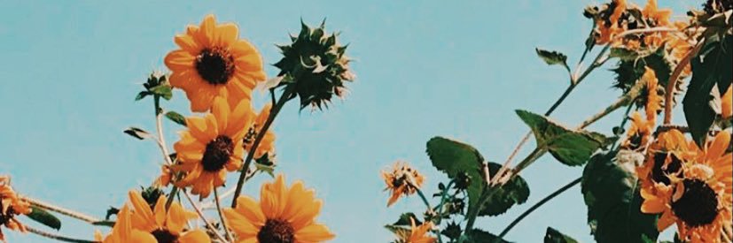 Sara Bryan banner