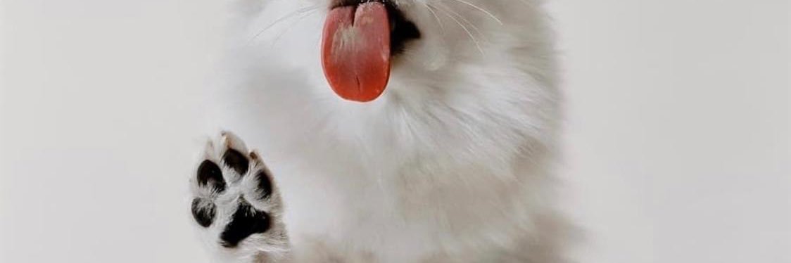 martagarridoo's profile banner image