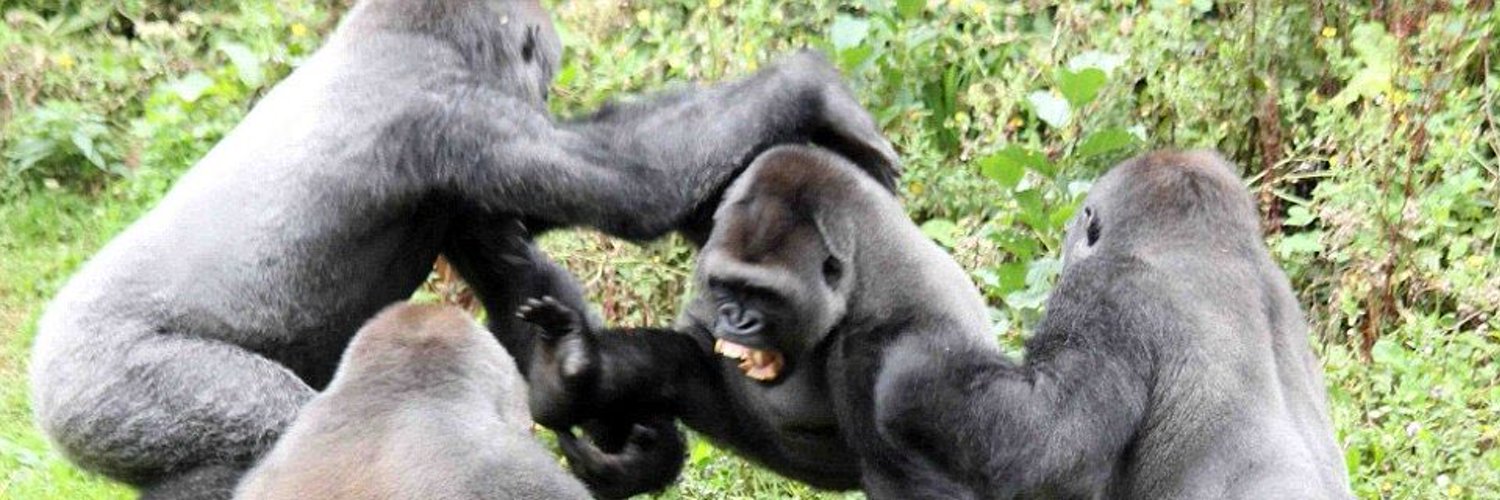 師範@ほらボド！普及委員会 banner