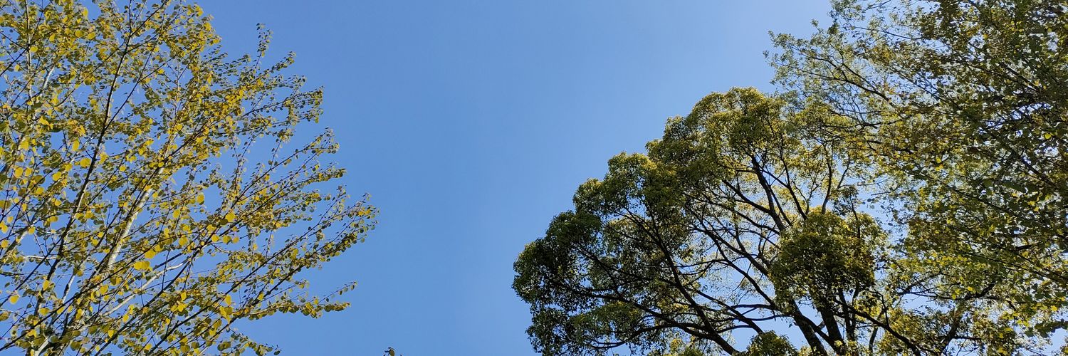 Small_island39's profile banner image