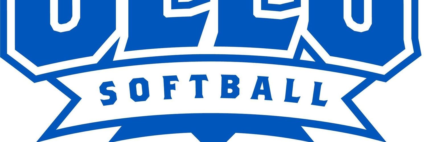 Our Lady Of The Lake Softball banner