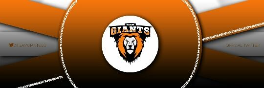 Team Giants banner