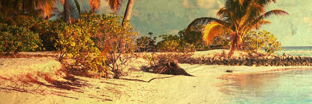 Eli Selvidge banner