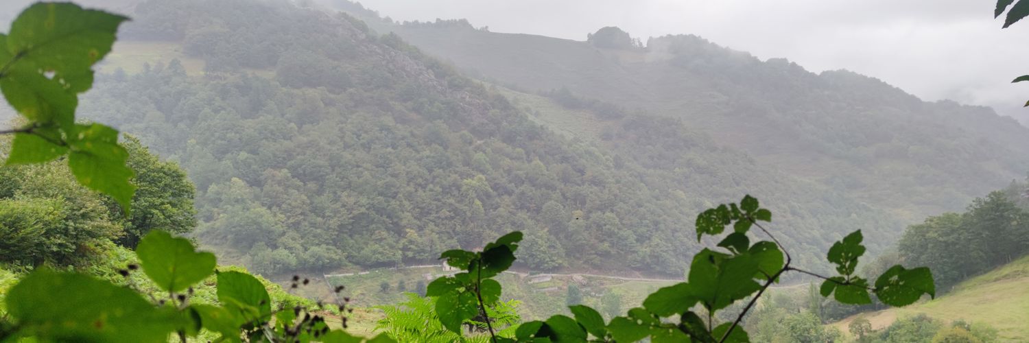 AntoOca's profile banner image