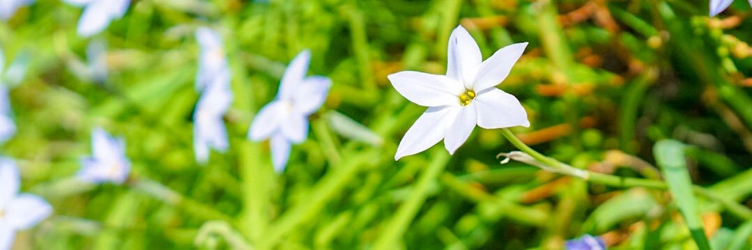 _mi_lin_'s profile banner image