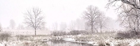 CoeurdC's profile banner image