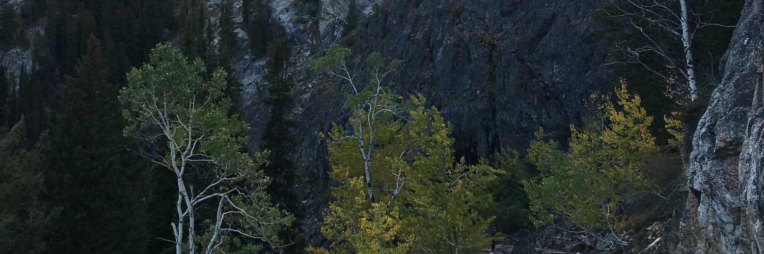 niklashage's profile banner image