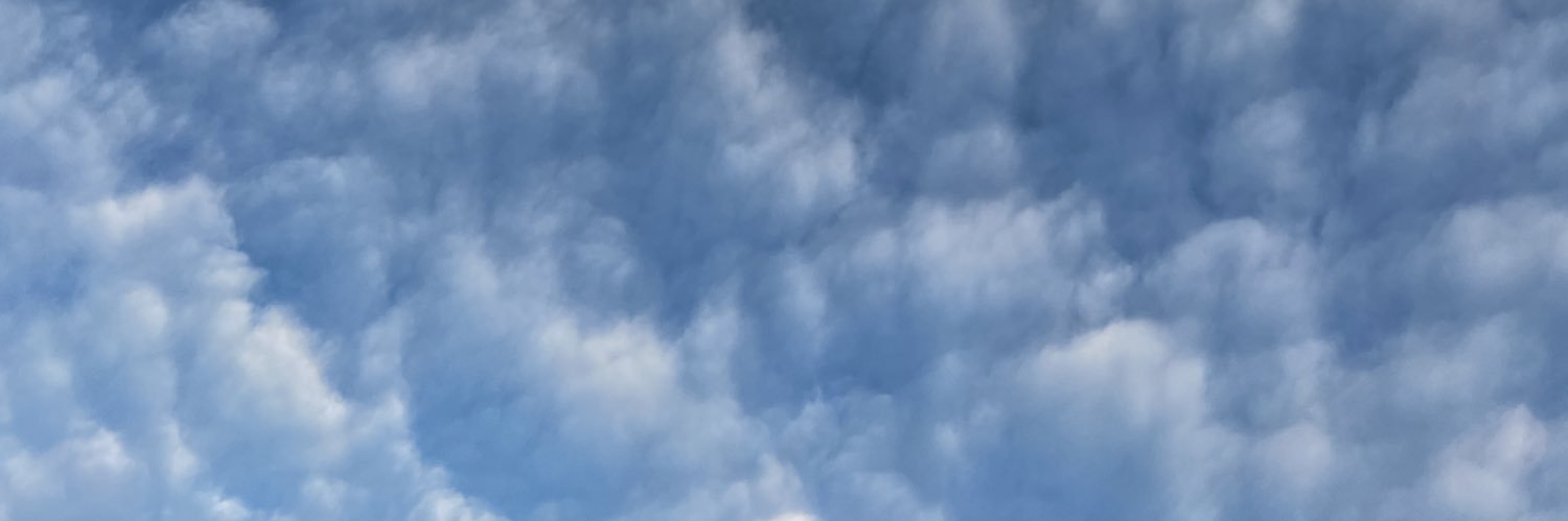 moscovici's profile banner image