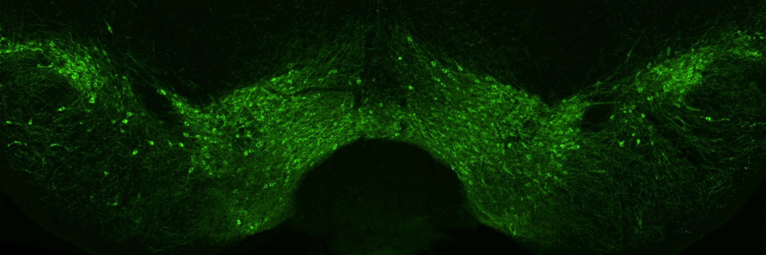 Konstantin Kaganovsky banner