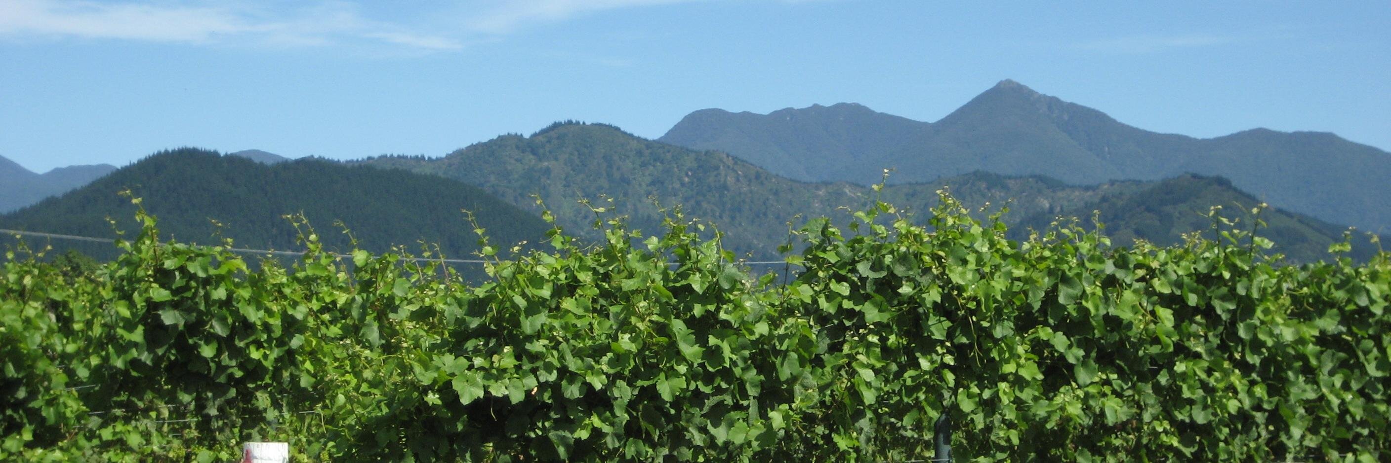 Nicky Grandorge banner