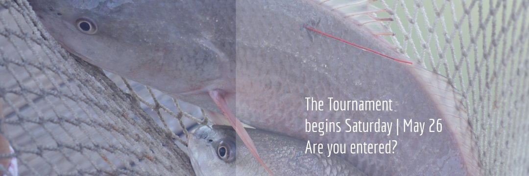 STARtournament's profile banner image