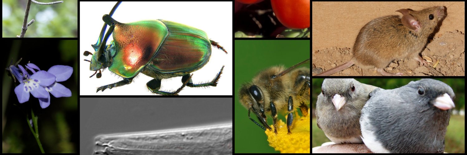 IU EEB Graduate Program banner