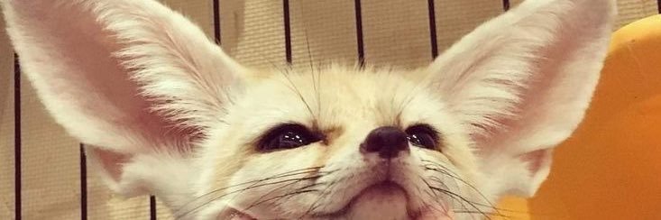 ｋａｒｉ ~ｓｋｚ ａｕ'ｓ✨ banner