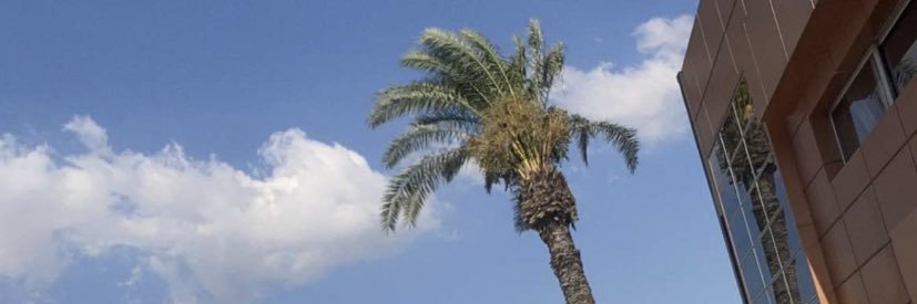 2x0ibrahim's profile banner image