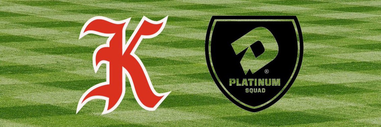 Knights Baseball 17u Platinum Profile Banner