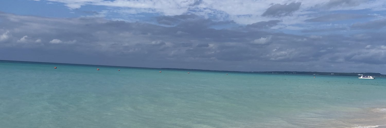 R banner