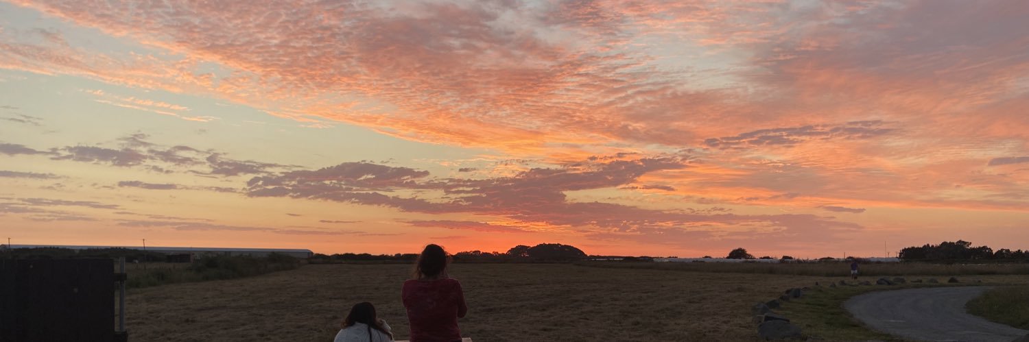Rosefacio's profile banner image