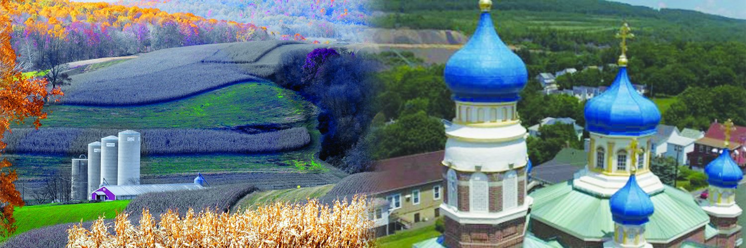 Senator David Argall's banner