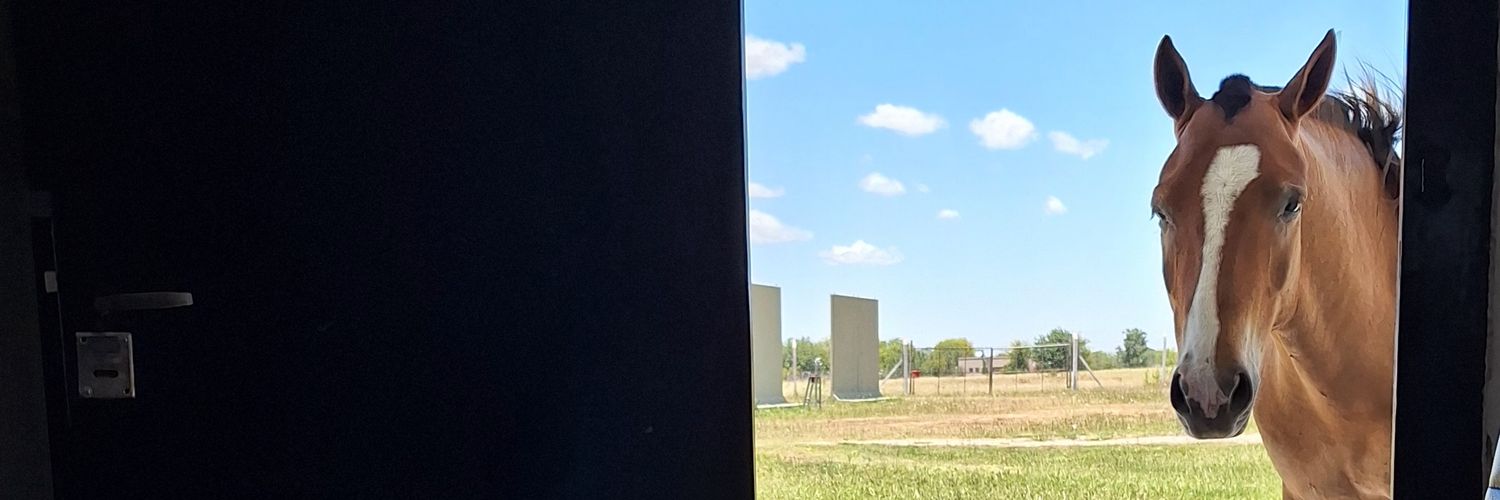 jotinxx's profile banner image