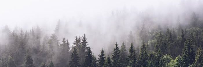 branylmz's profile banner image
