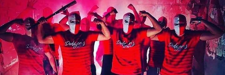 dodgeriamine's profile banner image