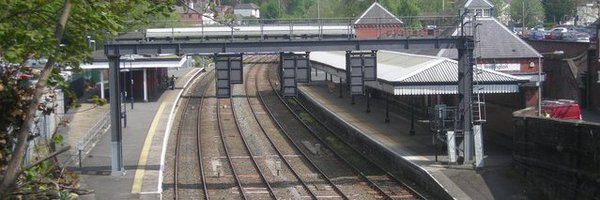 WellingtonStat1 Profile Banner