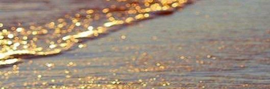 moon_5560's profile banner image