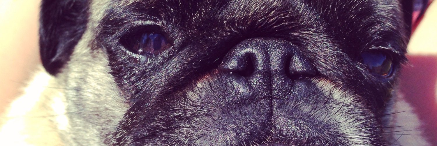 caseyhaeg's profile banner image