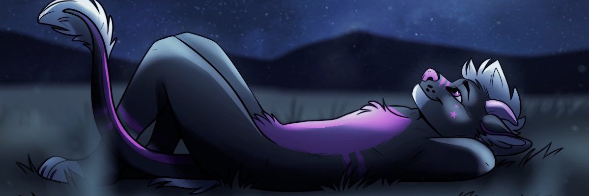 Star banner
