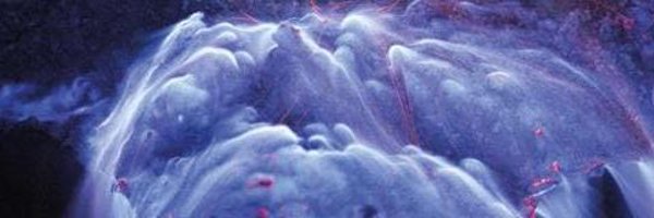 mirellamartin13 Profile Banner