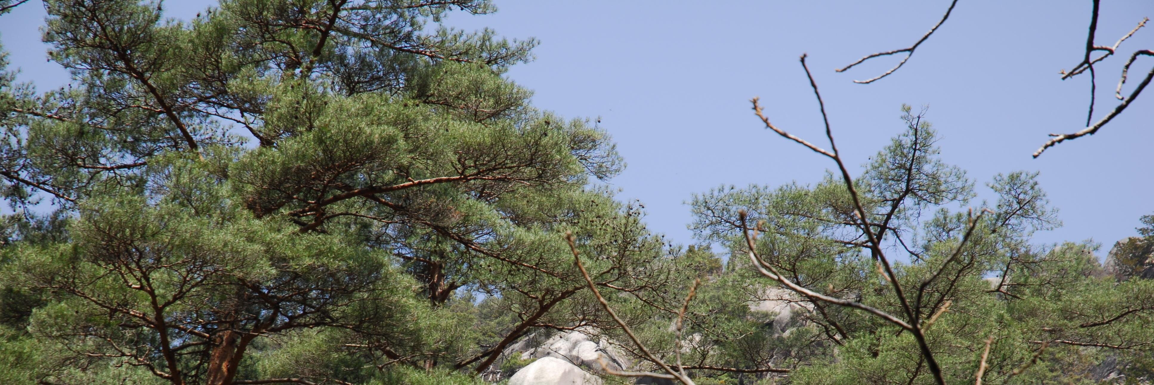 ばいたん/おろりん banner