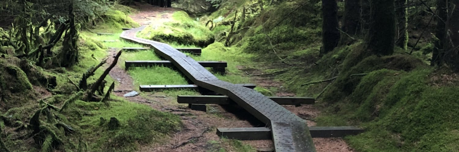 scsimone🌺🐝 banner