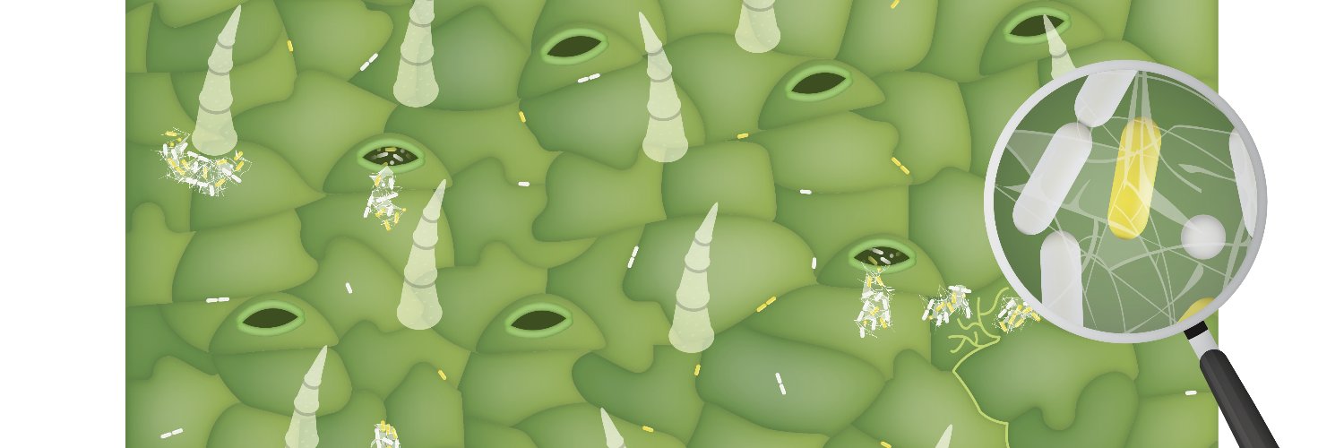 KashtanLab's profile banner image