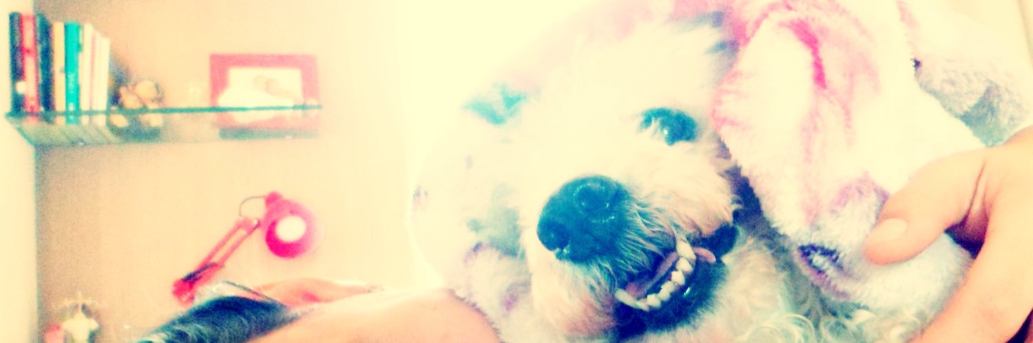 beatrizliger's profile banner image
