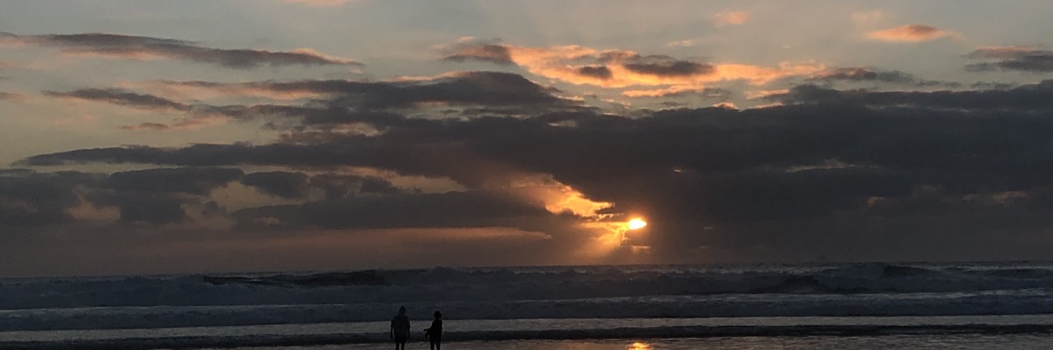 paulinebrll's profile banner image