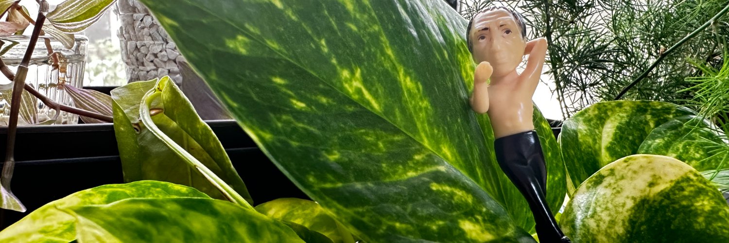 外川浩子（とがわひろこ）＠『人は見た目！と言うけれど』著者 banner