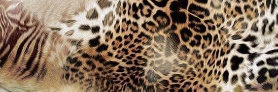 lilkzyyy's profile banner image