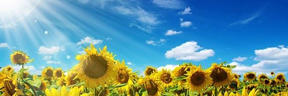 arhilldesigns's profile banner image